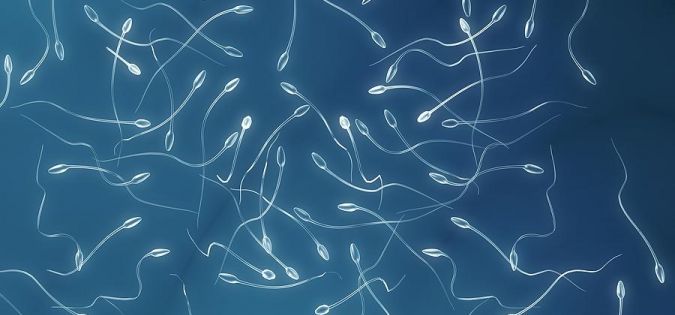 Dárcovství spermií