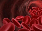 hemoglobin.jpg - kopie