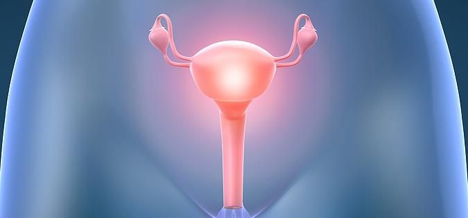 Zánět a rakovina vagíny